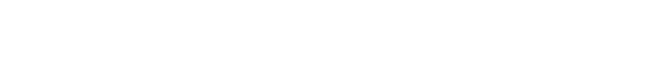Federal Energy Authority